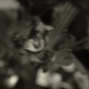 IMG_2024-03-09-180031.jpeg