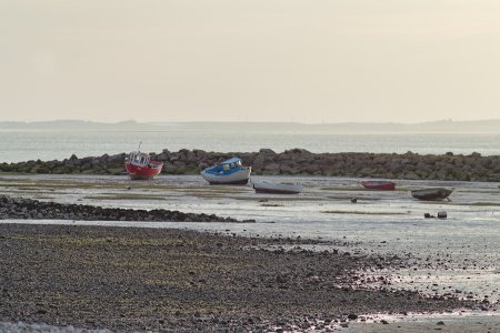 Morecamb Bay 300 f4-3.jpg