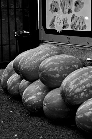 Watermelons-2-1.jpg