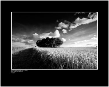 Ancient Burial Mound Willy Howe East Riding of Yorkshire England.jpg