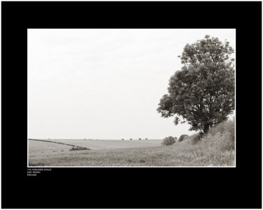 The Yorkshire Wolds East Riding England.jpg