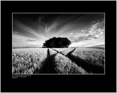 Willy Howe Ancient Burial Mound East Riding of Yorkshire England.jpg