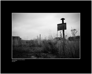 Late summer at the old airfield - Lincolnshire - England.jpg