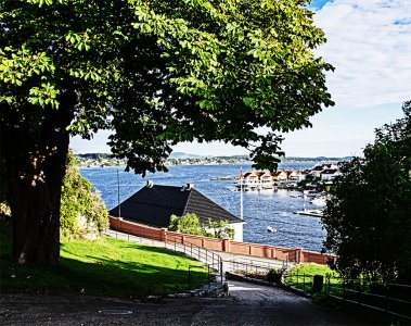 view towards the fjord.jpg