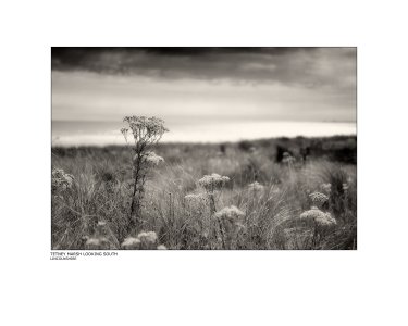 Tetney Marsh in Lincolnshire looking south.jpg