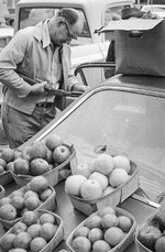 FayettevilleFarmersMkt_19740035.JPG