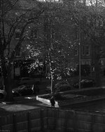 Autumn in Stockbridge 1000.jpg