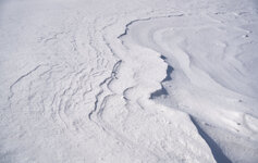 patterns in the snow 2 - small.jpg