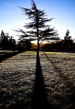 _1010741-a.jpg