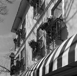 Camas Hotel 2.jpg