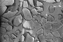 Abstract_fomapan400_800 50E28105 (19).jpg