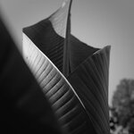 dc-lx100m2-PAN6096.jpg