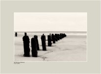 Old Wooden Groynes Sandsend North Yorkshire.jpg