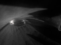 dc-lx100m2-PAN6089.jpg