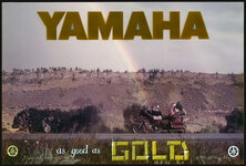Yamaha Gold ad_1979_sc01_DF1200px.jpg