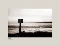 The Fitties Humberston North East Lincolnshire Saltmarsh.jpg