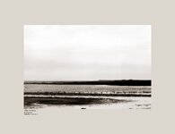 The Fitties Humberston North East Lincolnshire Saltmarsh and Plotland.jpg
