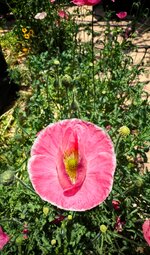 IMG_0646-a.jpg IMG_0646-a.jpg