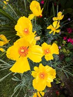 IMG_0808-a.jpg