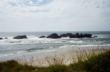 rocks and grass.jpg
