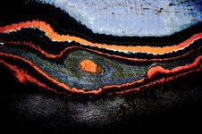 IMG_7434-a.jpg IMG_7434-a.jpg