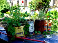 DSCF0539.JPG