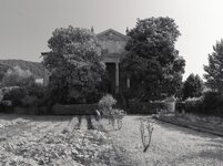 dc-lx100m2-PAN6415.jpg