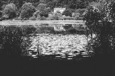 dc-lx100m2-PAN6498.resized.jpg