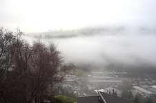 DSC09783.jpg