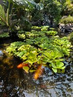 IMG_1105-a.jpg IMG_1105-a.jpg