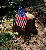 IMG_1114-a.jpg