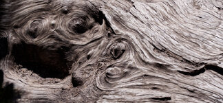 wood1.jpg