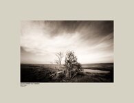 Lincolnshire Salt Marsh North Cotes.jpg