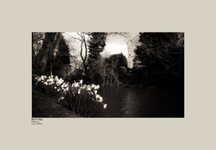 Beck Isle Pickering in Spring.jpg