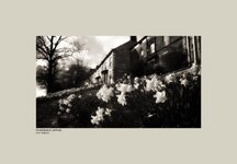 Pickering in Spring.jpg