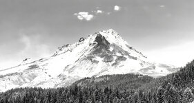 cropped 4 x 5 of 727.jpg
