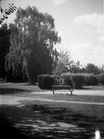 Hanimex XP2_22.jpg