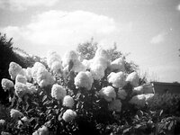 Hanimex XP2_23.jpg