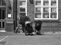 IMG_0017.jpg