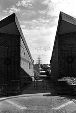 IMG_0023.jpg IMG_0023.jpg