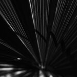 dc-lx100m2-PAN6578.jpg