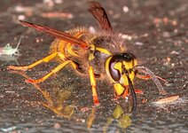 517301843_10238388930287934_5696437066241599186_n_Detailed-topaz-denoise-enhance-sharpen.jpg