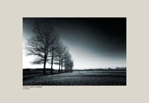 Trees near to Waithe in Lincolnshire.jpg