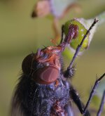 43436573_10217802342436104_2091564586850320384_n-topaz-denoise-enhance-sharpen.jpg