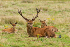 6U1A2305_DxO.jpg