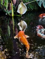 IMG_2043-1.jpg