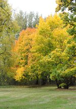 DSC_1624.jpg