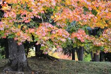 DSC_1637.jpg