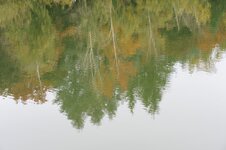 DSC_1638.jpg