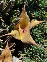 IMG_2130-1.jpg IMG_2130-1.jpg